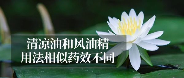 盛盈优配 夏日解暑药，你用对了吗？