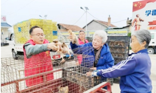配资盘 汪清县天桥岭镇发放6080只鸡雏 探索农村养老新路径