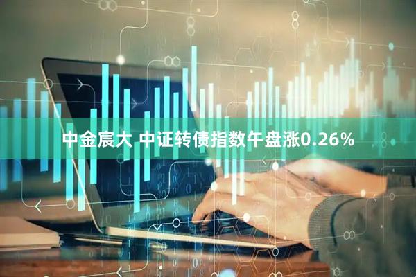 中金宸大 中证转债指数午盘涨0.26%