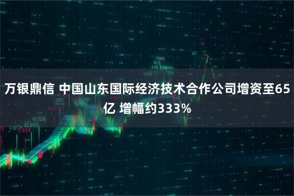 万银鼎信 中国山东国际经济技术合作公司增资至65亿 增幅约333%